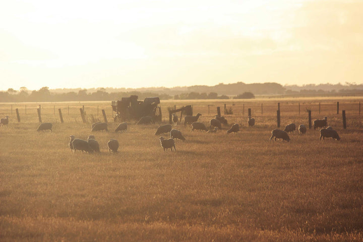 Our wool supplier, Custom Woolen Mills